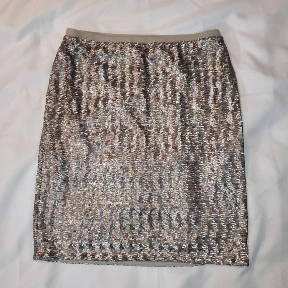 Women's J.Jill Sequin Pencil Skirt M Silver/Sterling - Picture 2 of 8